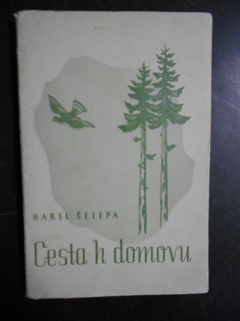 Cesta k domovu