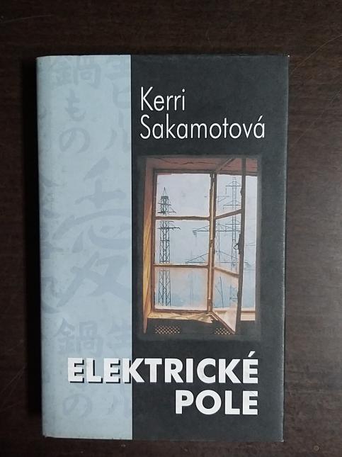 Elektrické pole