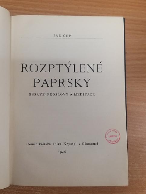 Rozptýlené paprsky