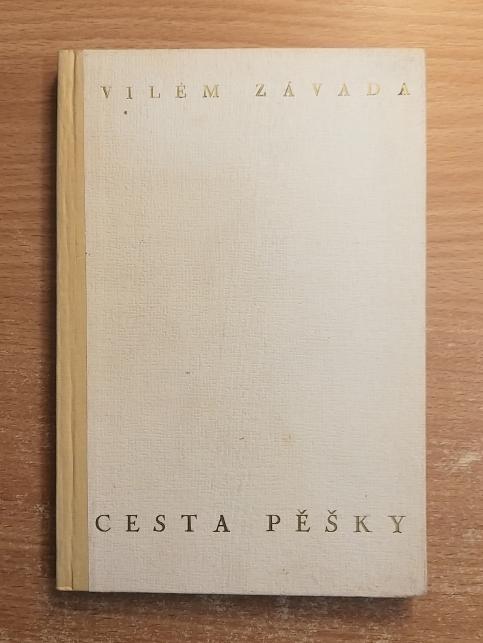 Cesta pěšky