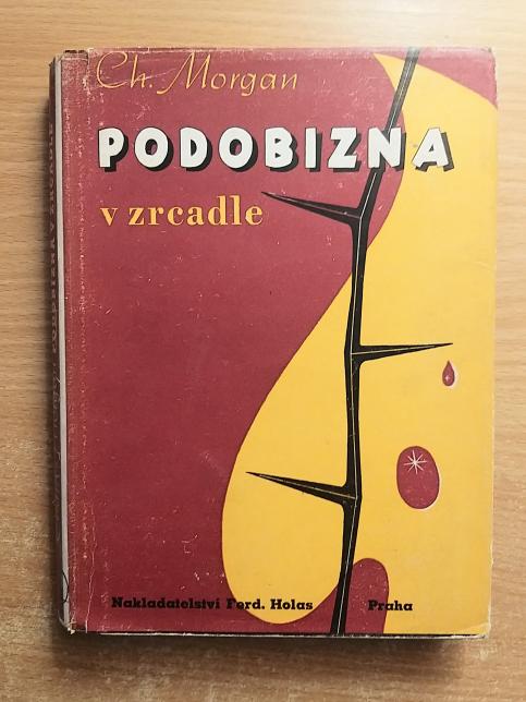 Podobizna v zrcadle