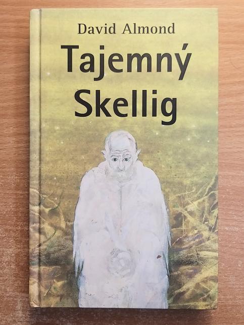 Tajemný Skellig