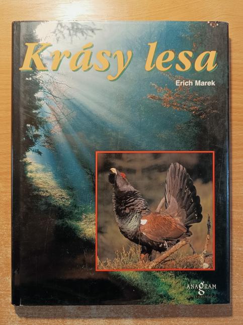 Krásy lesa