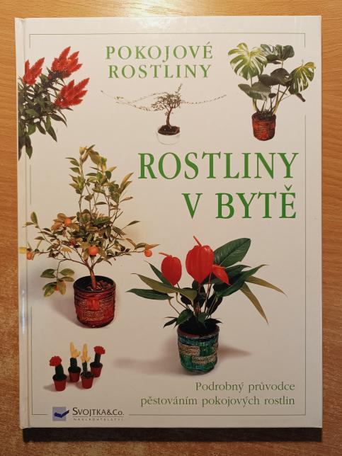 Rostliny v bytě