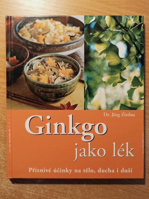 Ginkgo jako lék