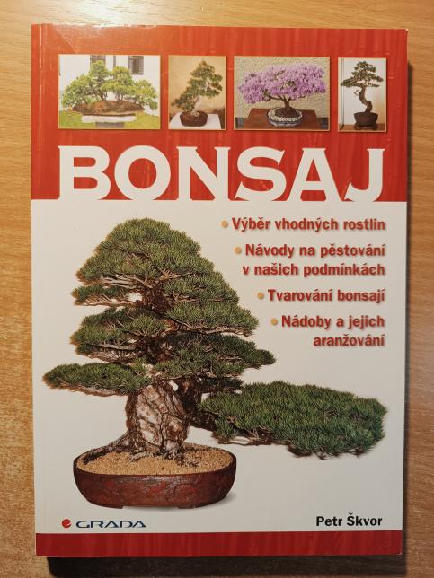 Bonsaj