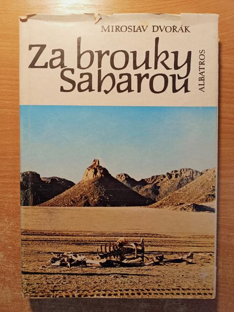 Za brouky Saharou