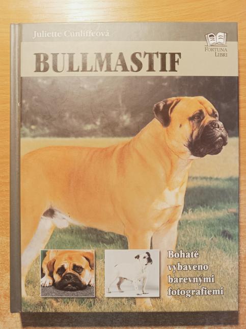 Bullmastif